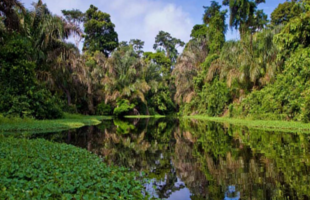 Soberanía National Park